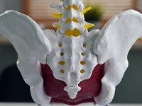 7 ejercicios de suelo pélvico para mejorar la incontinencia sin cirugía