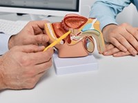 Cáncer de vejiga: signos a los que debes de estar atento