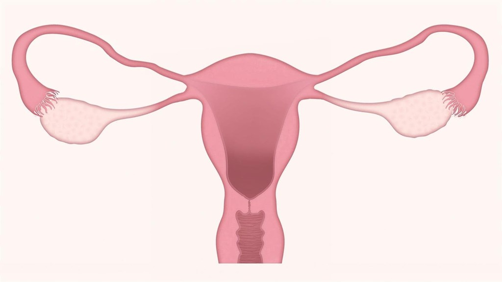 Incontinencia urinaria durante la menopausia