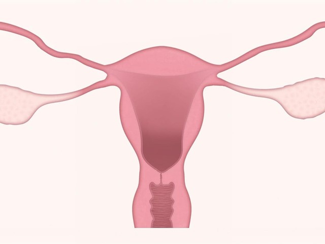 Incontinencia urinaria durante la menopausia