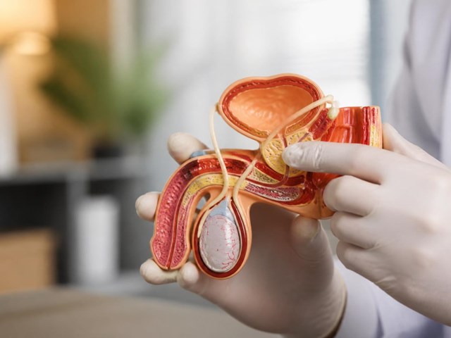 Reversión y asesoramiento previo a vasectomía en Pontevedra